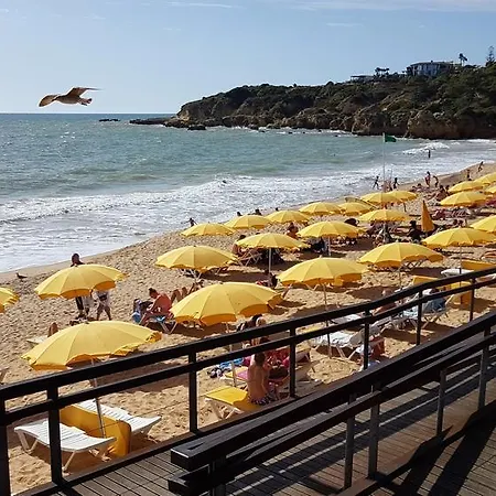 ヴィラ Clara Premium By Sunny Deluxe *